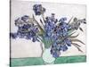 Irises-Vincent van Gogh-Stretched Canvas