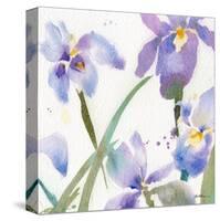 Irises-Sheila Golden-Stretched Canvas