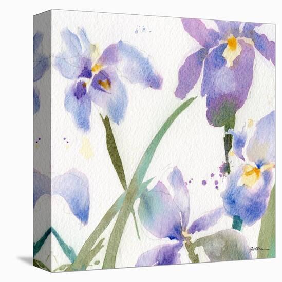 Irises-Sheila Golden-Stretched Canvas