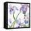 Irises-Sheila Golden-Framed Stretched Canvas