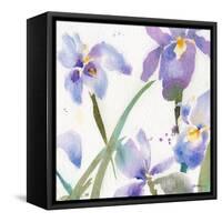 Irises-Sheila Golden-Framed Stretched Canvas