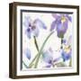 Irises-Sheila Golden-Framed Art Print