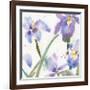 Irises-Sheila Golden-Framed Premium Giclee Print