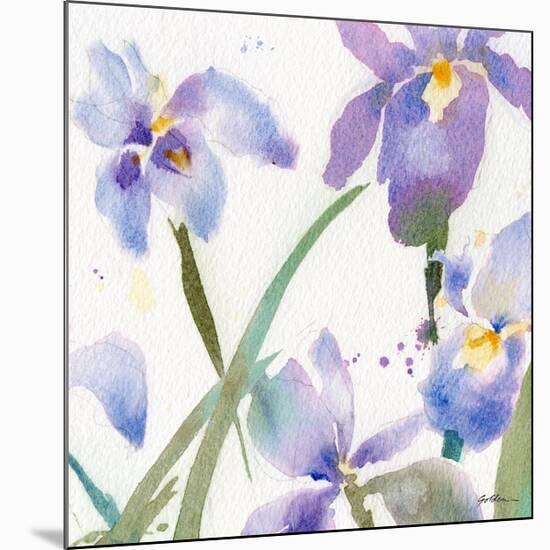 Irises-Sheila Golden-Mounted Premium Giclee Print