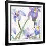 Irises-Sheila Golden-Framed Premium Giclee Print