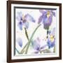 Irises-Sheila Golden-Framed Art Print