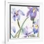 Irises-Sheila Golden-Framed Art Print