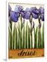 Irises-Daniel Patrick Kessler-Framed Giclee Print