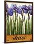 Irises-Daniel Patrick Kessler-Framed Premium Giclee Print