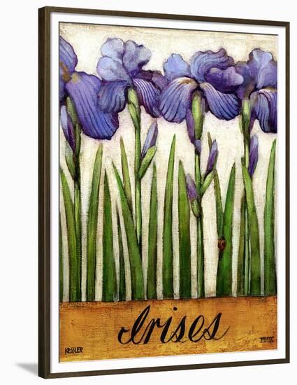 Irises-Daniel Patrick Kessler-Framed Premium Giclee Print