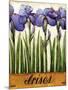 Irises-Daniel Patrick Kessler-Mounted Premium Giclee Print