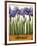 Irises-Daniel Patrick Kessler-Framed Giclee Print