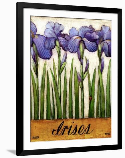 Irises-Daniel Patrick Kessler-Framed Giclee Print