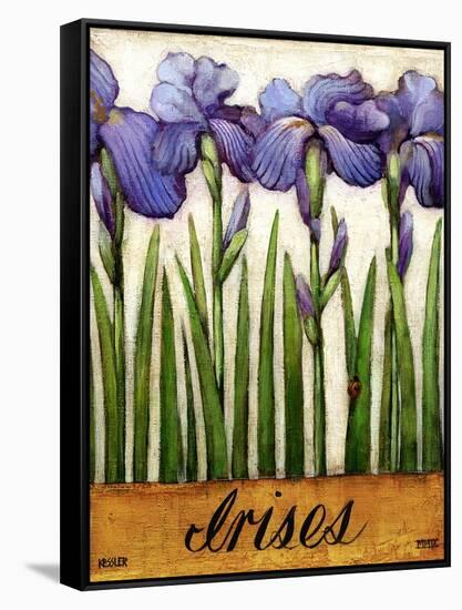 Irises-Daniel Patrick Kessler-Framed Stretched Canvas