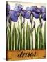 Irises-Daniel Patrick Kessler-Stretched Canvas