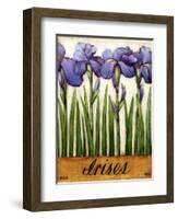 Irises-Daniel Patrick Kessler-Framed Giclee Print