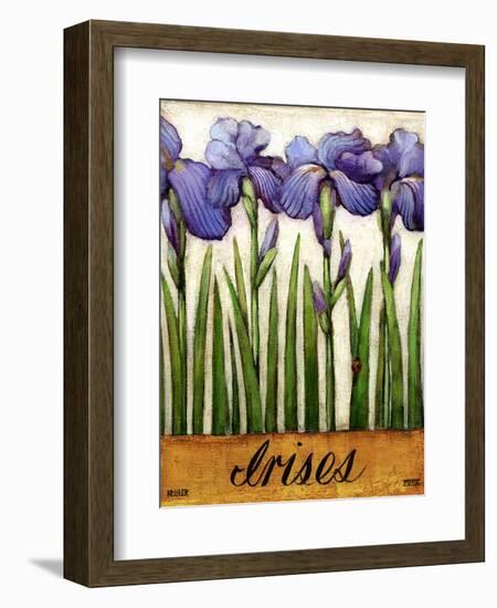 Irises-Daniel Patrick Kessler-Framed Giclee Print