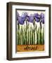 Irises-Daniel Patrick Kessler-Framed Giclee Print