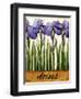 Irises-Daniel Patrick Kessler-Framed Giclee Print