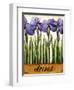 Irises-Daniel Patrick Kessler-Framed Giclee Print