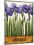 Irises-Daniel Patrick Kessler-Mounted Giclee Print