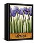 Irises-Daniel Patrick Kessler-Framed Stretched Canvas