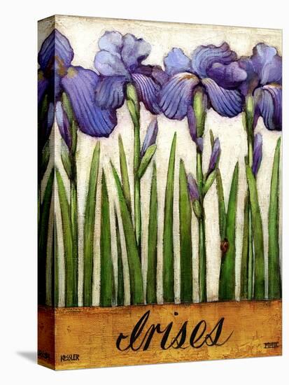 Irises-Daniel Patrick Kessler-Stretched Canvas