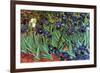 Irises-Vincent van Gogh-Framed Art Print