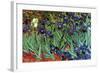 Irises-Vincent van Gogh-Framed Art Print