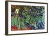 Irises-Vincent van Gogh-Framed Art Print