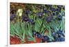 Irises-Vincent van Gogh-Framed Art Print