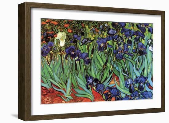 Irises-Vincent van Gogh-Framed Art Print