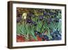 Irises-Vincent van Gogh-Framed Art Print