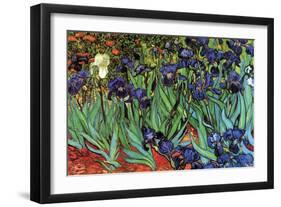 Irises-Vincent van Gogh-Framed Art Print