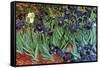 Irises-Vincent van Gogh-Framed Stretched Canvas