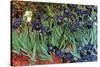 Irises-Vincent van Gogh-Stretched Canvas