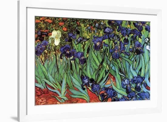 Irises-Vincent van Gogh-Framed Premium Giclee Print