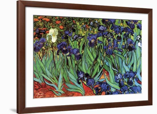 Irises-Vincent van Gogh-Framed Premium Giclee Print