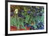 Irises-Vincent van Gogh-Framed Premium Giclee Print