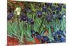 Irises-Vincent van Gogh-Mounted Premium Giclee Print