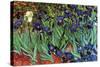 Irises-Vincent van Gogh-Stretched Canvas