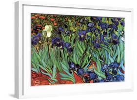 Irises-Vincent van Gogh-Framed Art Print