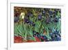 Irises-Vincent van Gogh-Framed Art Print