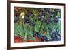 Irises-Vincent van Gogh-Framed Art Print