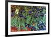 Irises-Vincent van Gogh-Framed Art Print