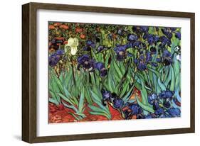 Irises-Vincent van Gogh-Framed Art Print