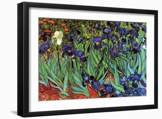 Irises-Vincent van Gogh-Framed Art Print