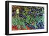 Irises-Vincent van Gogh-Framed Art Print