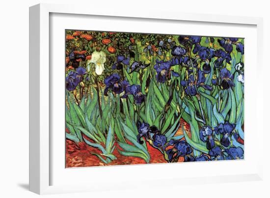 Irises-Vincent van Gogh-Framed Art Print