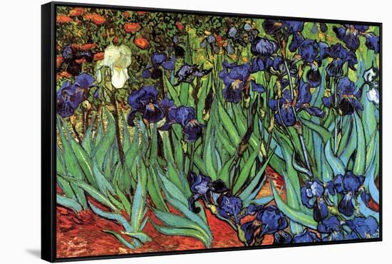 Irises-Vincent van Gogh-Framed Stretched Canvas